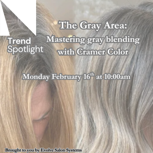 02/16/2026 COLOR SPOT LIGHT-THE GRAY AREA