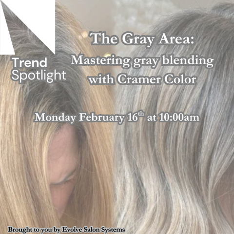 02/16/2026 COLOR SPOT LIGHT-THE GRAY AREA